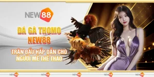 đá gà thomo